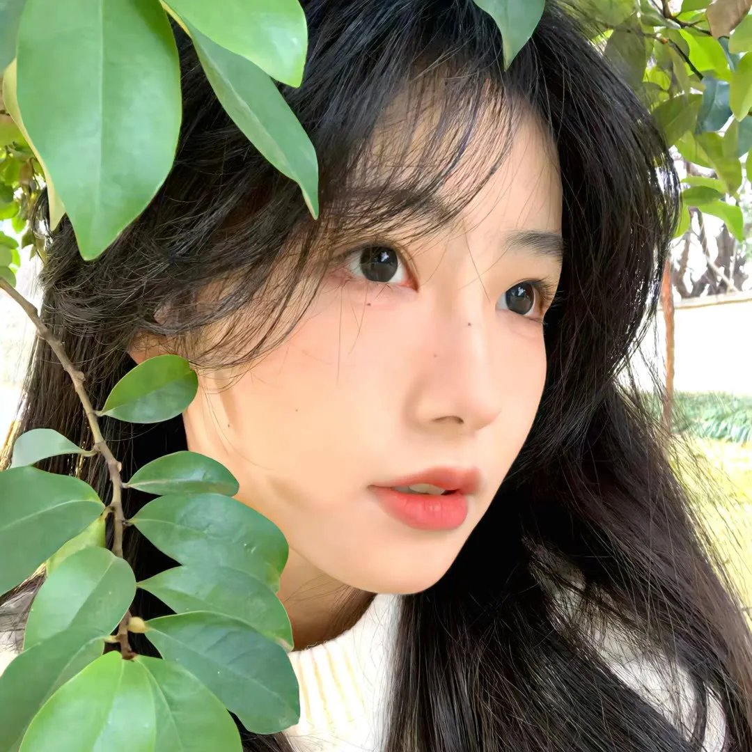 你能原谅我吗